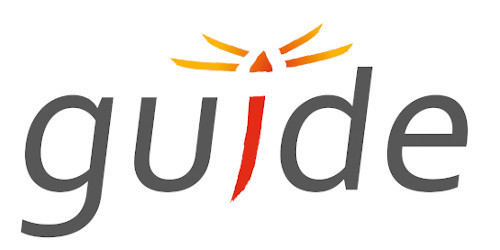 Logo Guide. Written in gray letters. The I written in red. The I dot is a red triangle with four lighter strokes coming off of it.