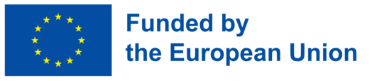 Blue European flag and funding statement of the EU