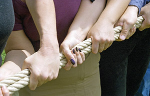 Viele Hände ziehen an einem Seil in die gleiche Richtung.